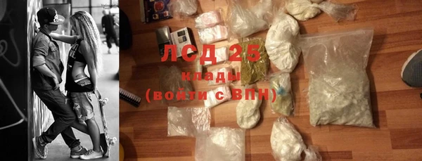 сатива Пересвет