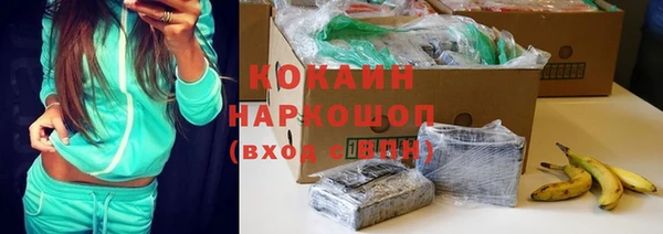 сатива Пересвет