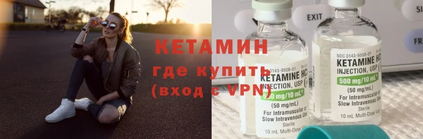 сатива Пересвет