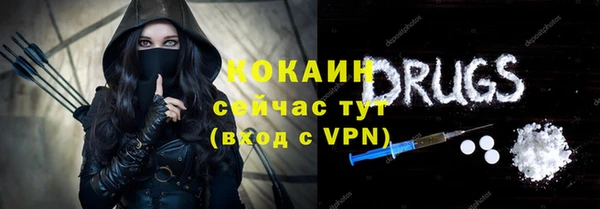 сатива Пересвет
