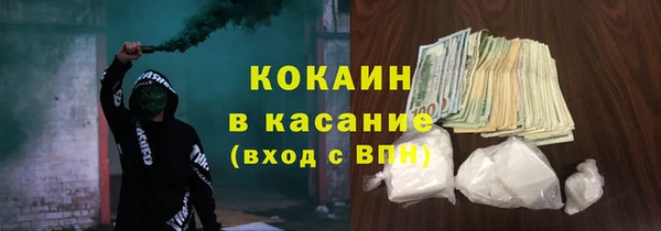 сатива Пересвет