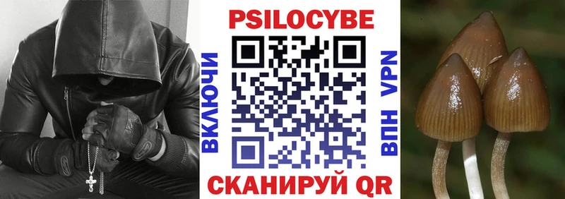 Галлюциногенные грибы Cubensis Камень-на-Оби
