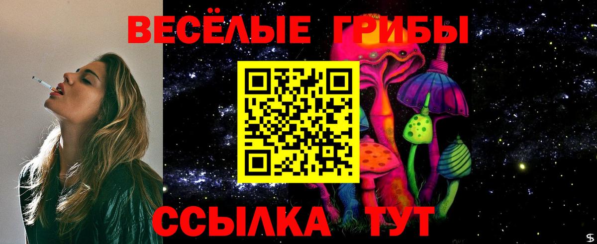 Галлюциногенные грибы ЛСД  Вход с VPN  Камень-на-Оби 