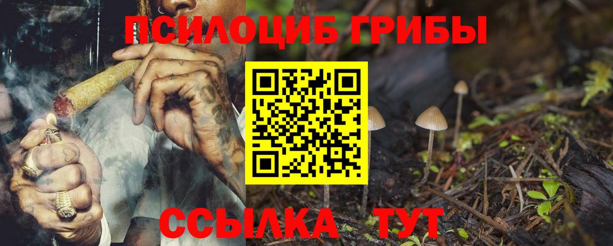 Псилоцибиновые грибы прущие грибы Камень-на-Оби